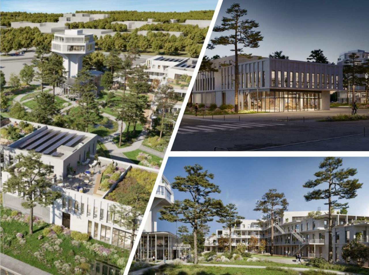 Bureau Pessac 5355m² Location bureau Pessac Gironde OLBUR2207754 6
